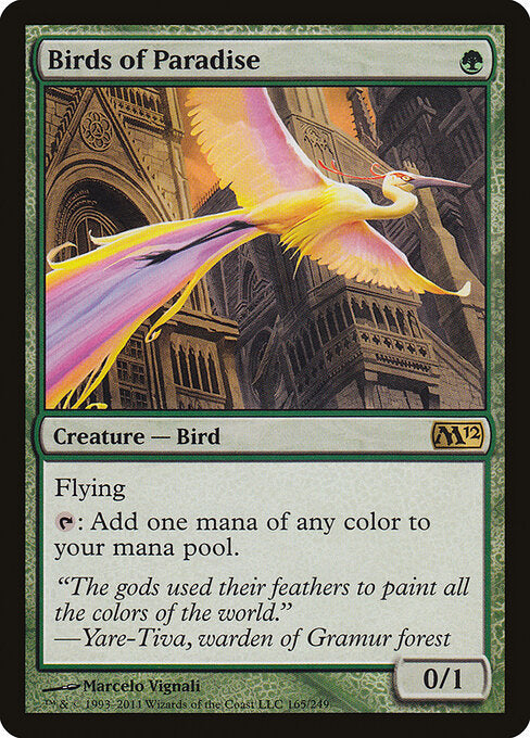 Birds of Paradise (M12)