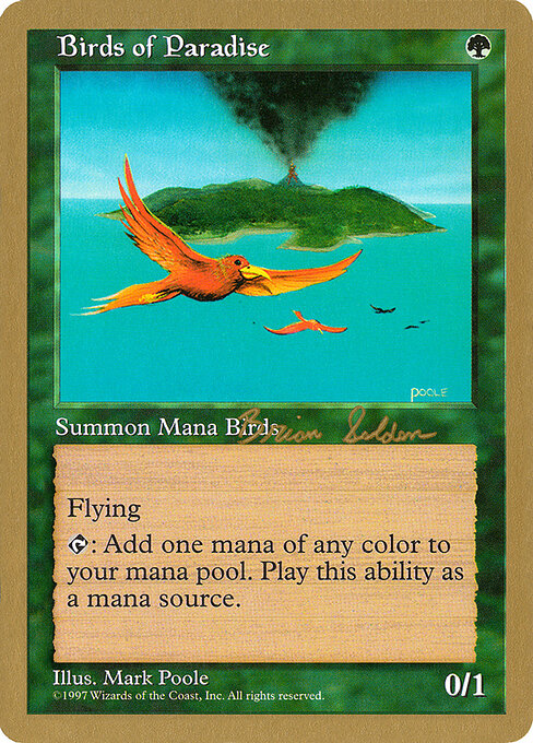 Birds of Paradise (WC98)