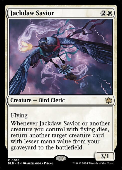 Jackdaw Savior (BLB)