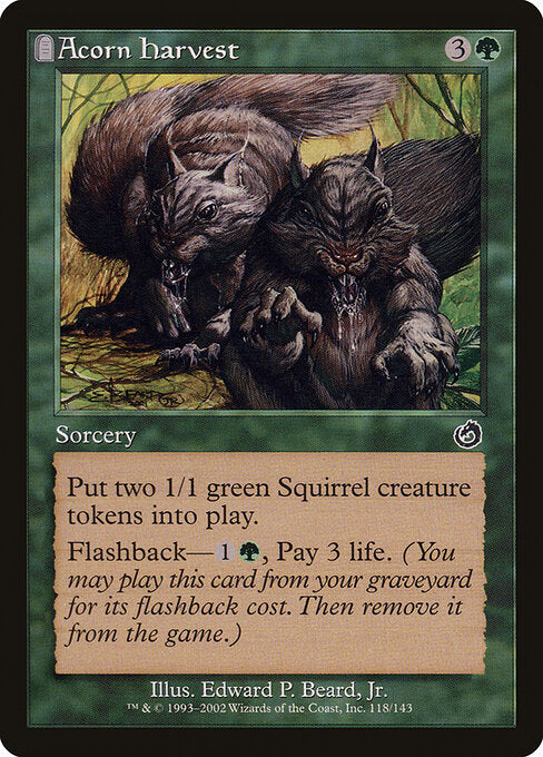 Acorn Harvest (TOR)