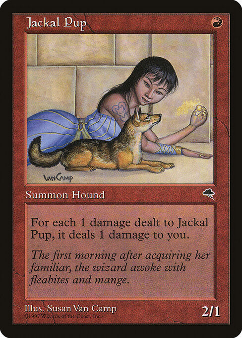Jackal Pup (TMP)