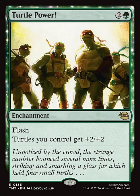 Turtle Power! (TMT)