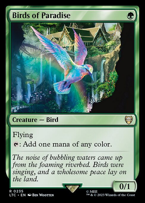 Birds of Paradise (LTC)