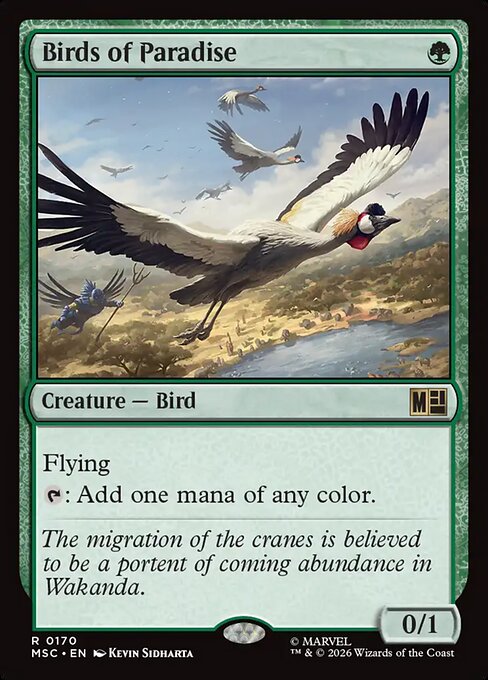 Birds of Paradise (MSC)