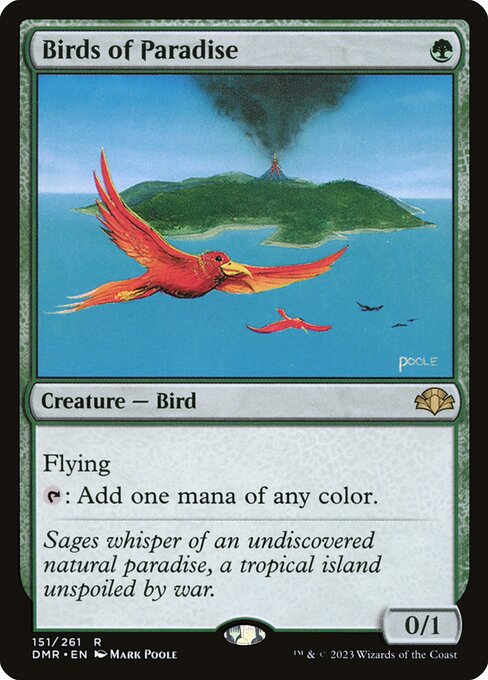 Birds of Paradise (DMR)