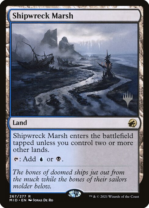 Shipwreck Marsh (PMID)