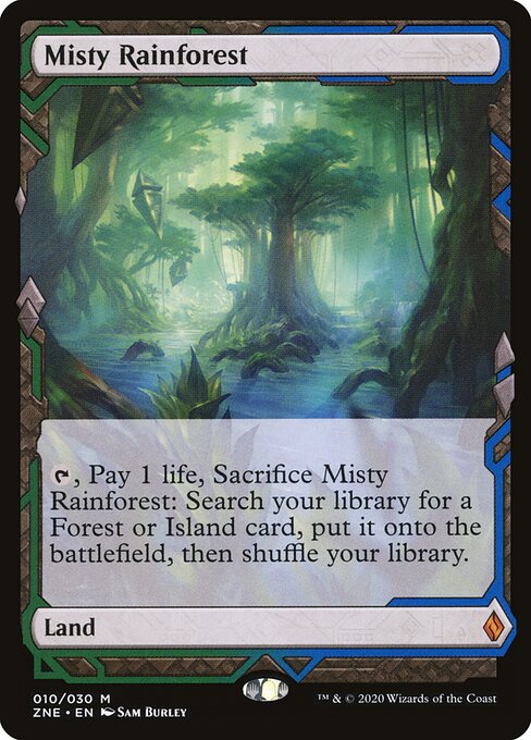 Misty Rainforest (ZNE)