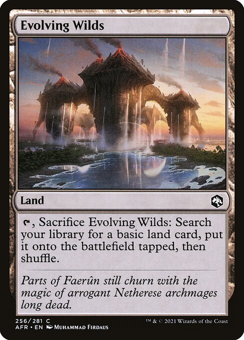 Evolving Wilds (AFR)