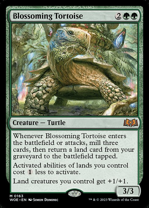 Blossoming Tortoise (WOE)