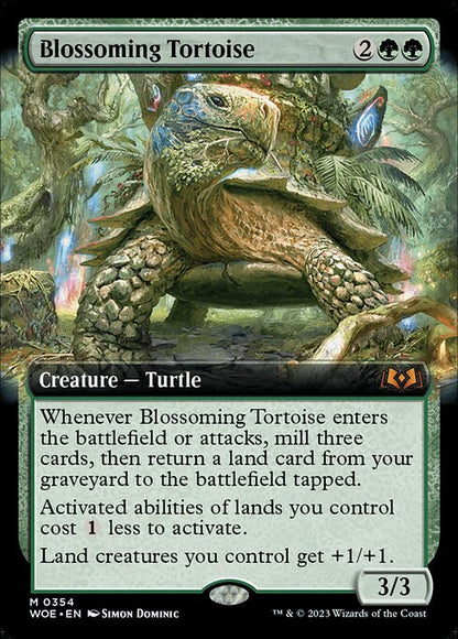 Blossoming Tortoise (WOE)