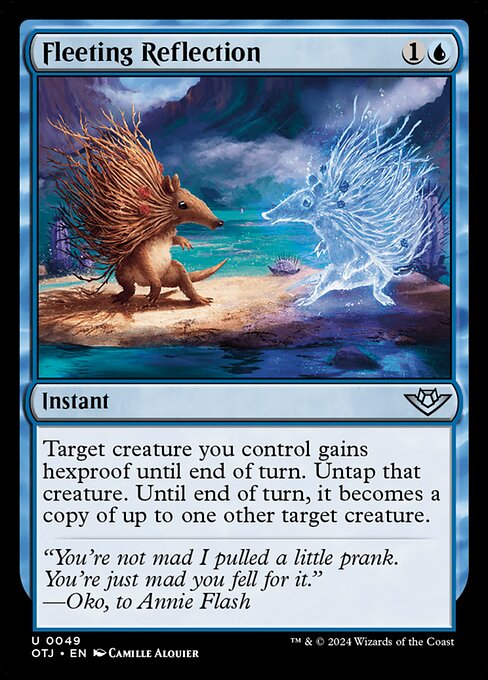 Fleeting Reflection (OTJ)