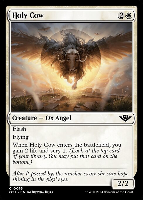 Holy Cow (OTJ)