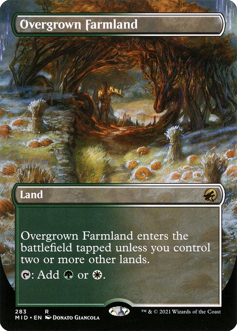 Overgrown Farmland (MID)