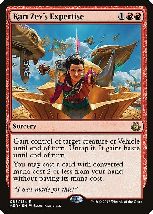 Kari Zev's Expertise (AER)