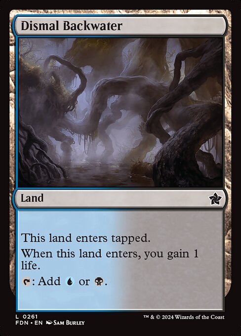 Dismal Backwater (FDN)