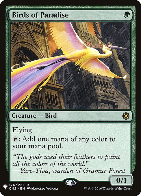 Birds of Paradise (PLST)