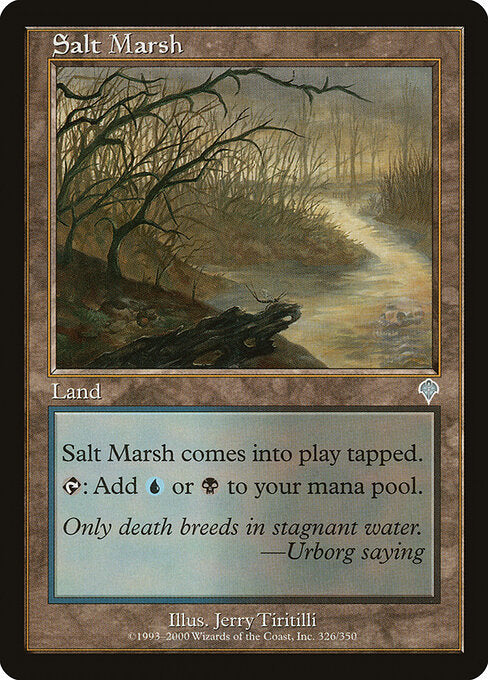 Salt Marsh (INV)