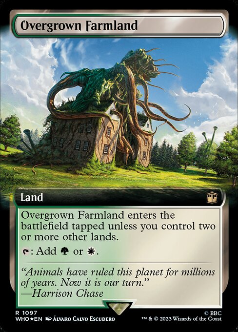 Overgrown Farmland (WHO)